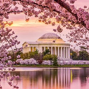 Washington D.C. Cherry Blossom Festival- Choir Concert Festival