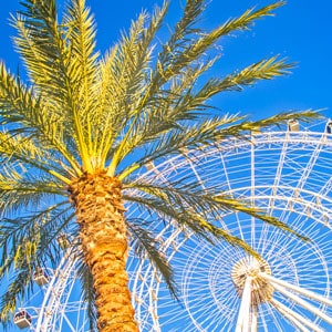 concert tour of orlando