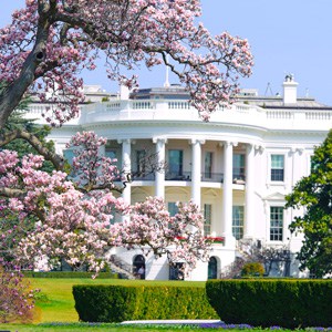 Concert tour of WASHINGTON, D.C.