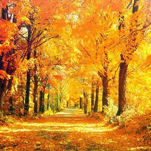 New England autumn road_itinerary vermont fall